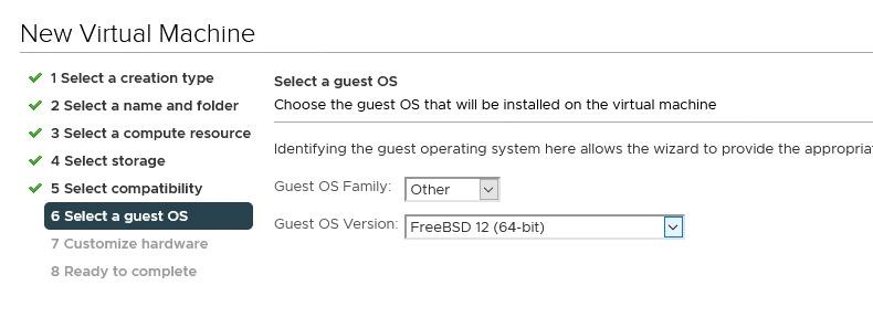 Select a guest OS